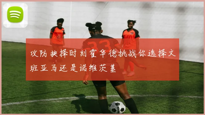 攻防抉择时刻霍华德挑战你选择文班亚马还是诺维茨基