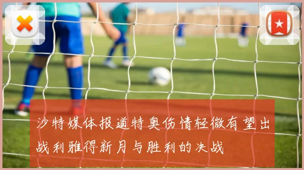 沙特媒体报道特奥伤情轻微有望出战利雅得新月与胜利的决战
